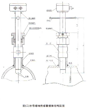 插入式電磁流量計不帶球閥結構圖